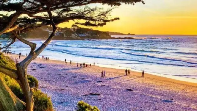 美國一號公路舊金山-洛杉磯全路段/行程靈活客製化/諮詢享減