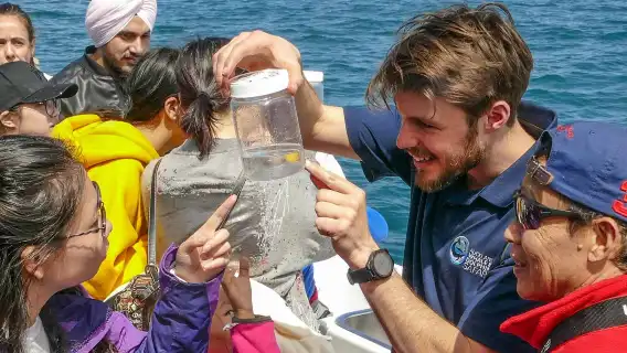 ทัวร์ดูปลาวาฬและโลมาโอ๊คแลนด์ นิวซีแลนด์ - ทริปเรือโอ๊คแลนด์ - พบกับสัตว์ทะเลป่าที่น่าสนใจมากมาย ออกเดินทางง่าย คุ้มค่าเงิน กิจกรรมพิเศษ