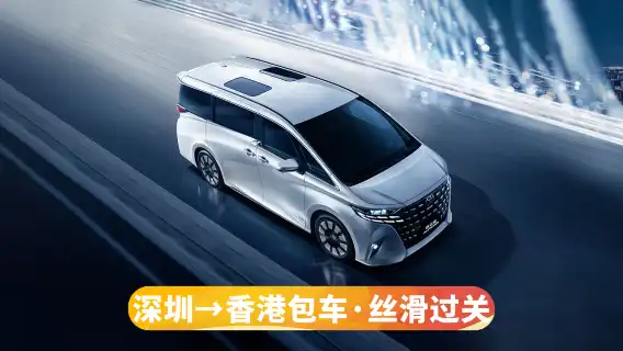 香港包車/散拼一日遊【包車指定埃爾法+上門接送+絲滑過關】