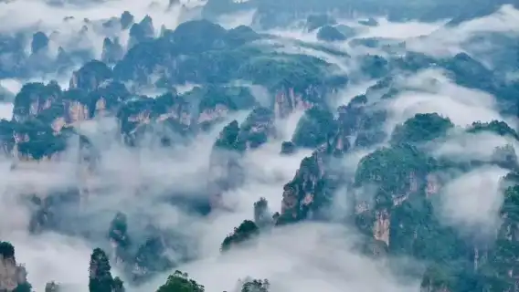 2 天私人包團:阿凡達山、玻璃橋、天門山及 VIP 百龍電梯