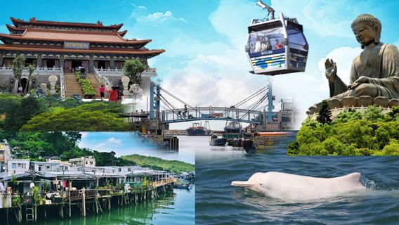 Hong KongTours