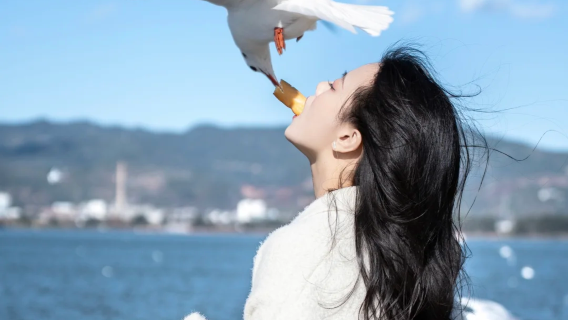 昆明日遊