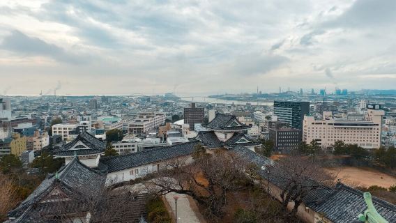日本大阪+和歌山白濱溫泉+圓月島一日遊/行程可調-可客製化多日