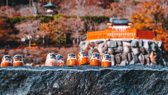 Excursión de un día al Templo Byodo-In en Uji, Osaka, Fushimi Inari-Taisha, Templo Katsuo-ji y la Cascada de Minoo