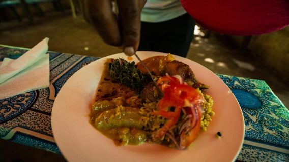 Zanzibar: Day Jozani Forest,Spice Farm,Nature and Savor Tour
