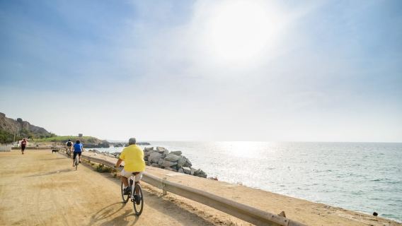 Desde Barcelona: Tour privado del vino de Alella en bicicleta eléctrica