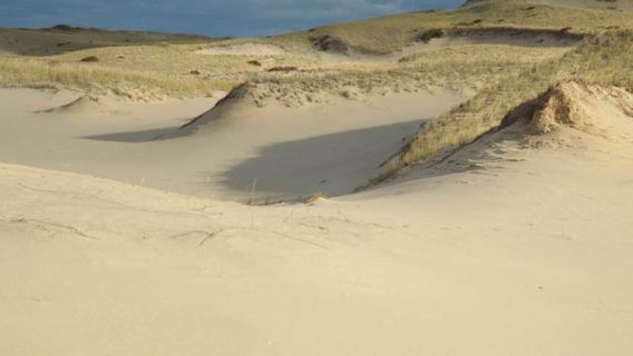 Provincetown: Cape Cod National Seashore Park Dune Tour
