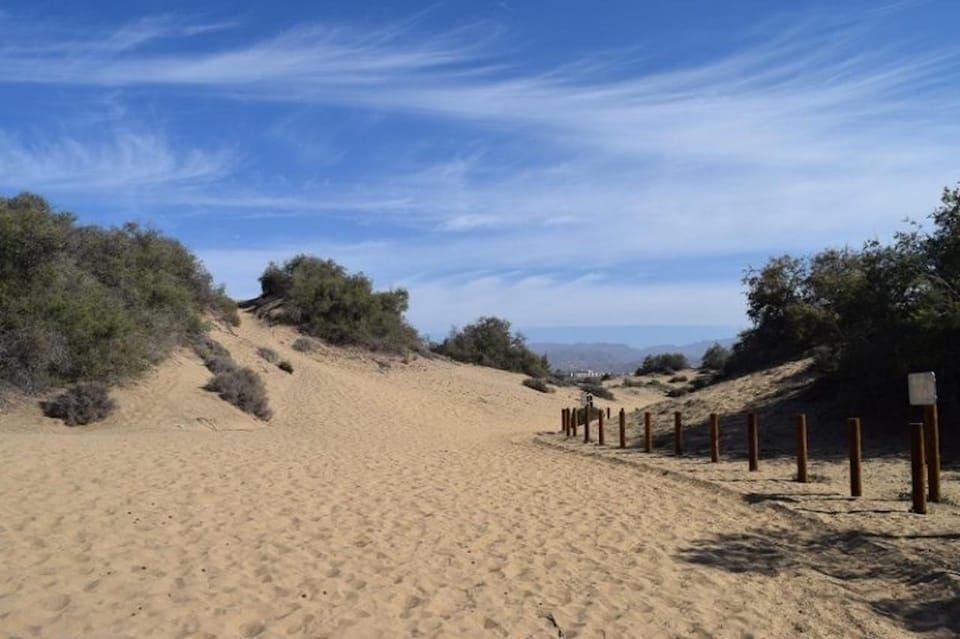 Maspalomas: Guided Camel Ride in the Maspalomas Sand Dunes
