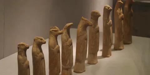 洛陽博物館一日遊專業導遊精講可拼團+獨立包團+純玩