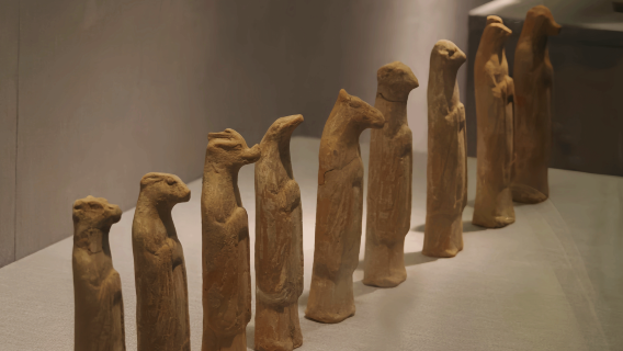 洛陽博物館一日遊專業導遊精講可拼團+私人導覽+純玩