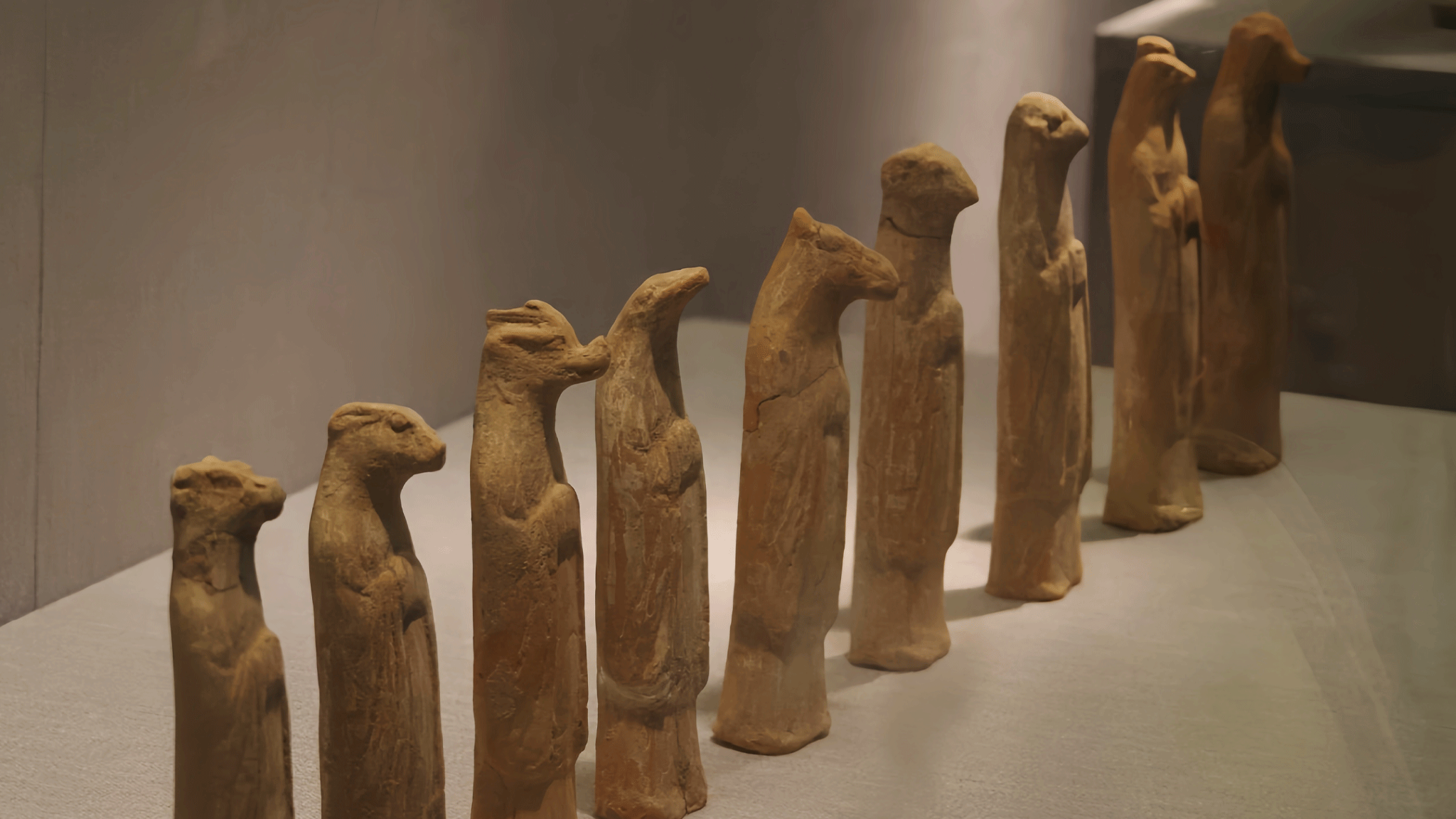 洛陽博物館一日遊專業導遊精講可拼團+私人導覽+純玩