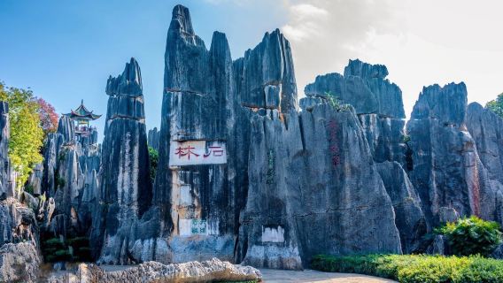 昆明石林風景區+滇池+斗南花市一日遊【臻享私家團◉贈送過橋米線】