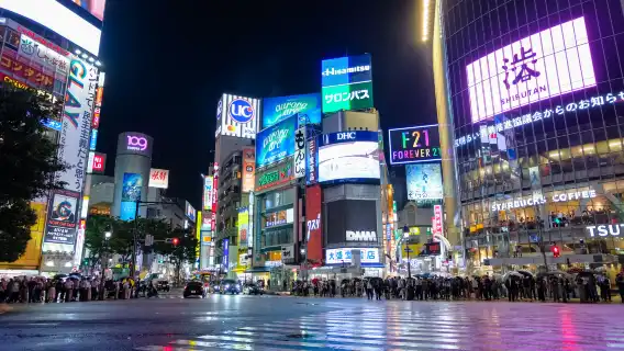 2-hour Shibuya tour: Shibuya Sky observation deck, scramble crossing and pop culture highlights