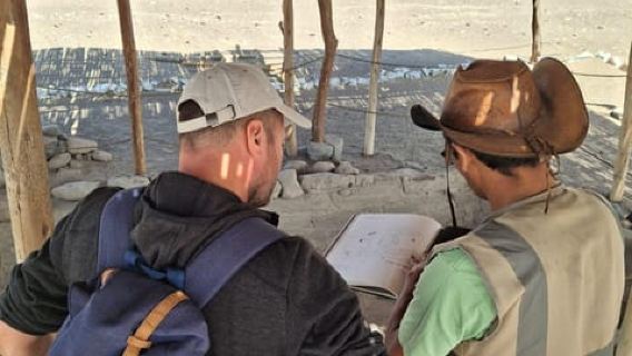 Da Huacachina: un'escursione di un giorno intero con volo sulle linee di Nazca