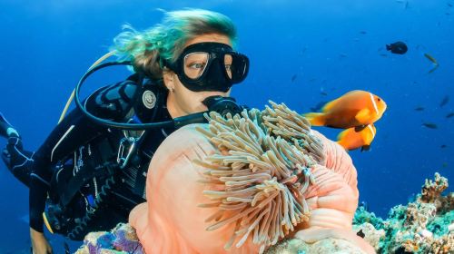 Dubai Attraction: Bermuda Diving Center Day Tours 4