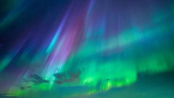 Ночной тур за северным сиянием в Рейкьявике, Исландия (на выбор: минивэн / круиз / прогулочное судно / круизный катер + тур с гидом на китайском языке + фотосъемка северного сияния)