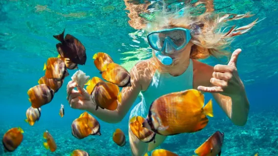 5-Hour Diving and Snorkeling Experience in Penida Island, Bali, Indonesia [Boat Ticket / Snorkeling / Lunch / West Route]