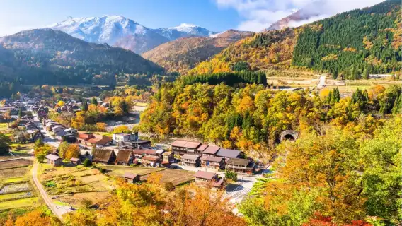 名古屋|白川郷+飛騨高山 日帰りツアー