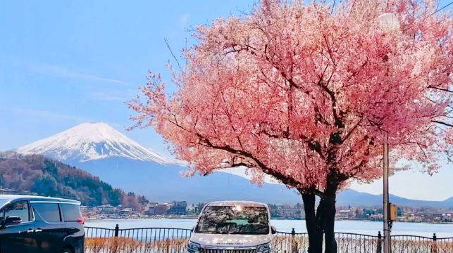 東京富士山一日遊，河口湖，天梯小鎮，忍野八海