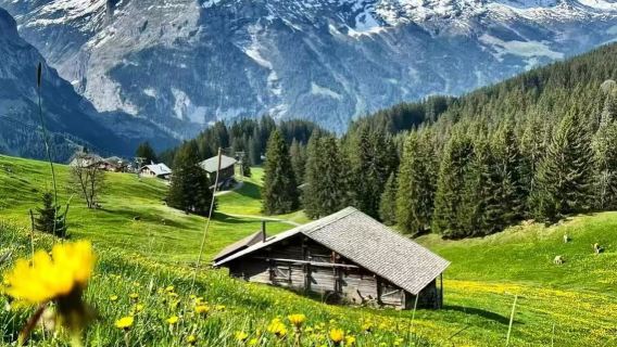 格林德瓦+因特拉肯+勞特布倫嫩包車一日遊【中文司機】