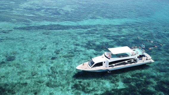 沙巴亞庇美人魚島+紅樹林 豪華遊艇 上門接駁 豐富娛樂項目