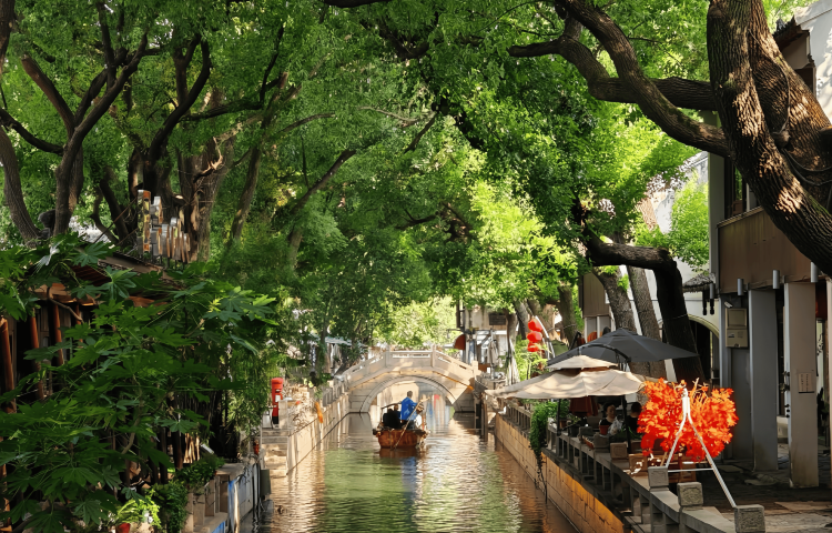 Tongli Watertown Private Tour: Watertown & Suzhou Garden Two-in-One