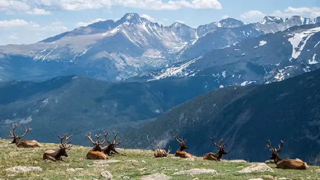 Discover Rocky Mountain National Park