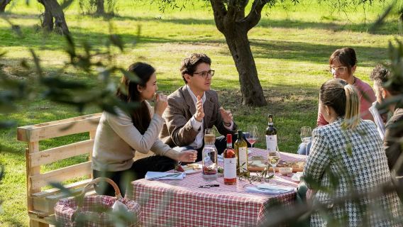 Mazzarosa Winery: Country Picnic in the Olive Grove