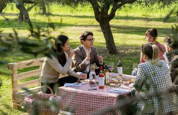 Mazzarosa酒莊：橄欖樹林中的鄉村野餐