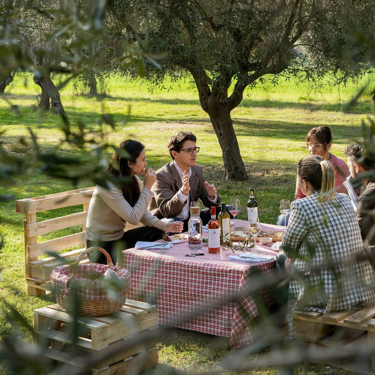 Weingut Mazzarosa: Ländliches Picknick im Olivenhain