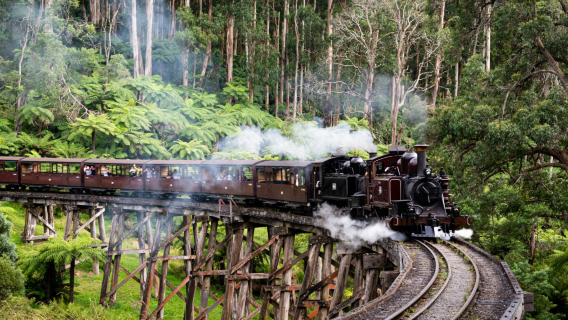 ExploreAus Tour Phillip Island + Puffing Billy Steam Train/Island Hopping Day Tour