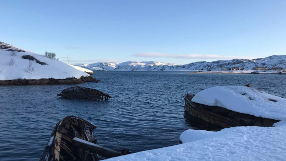 俄羅斯 摩爾曼斯克-捷里別爾卡一日遊（可定制多日遊）-