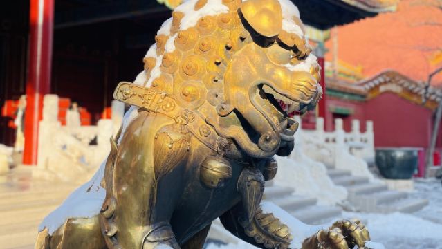 北京故宮博物院【4小時深度導覽】VIP專屬導遊服務/包含門票