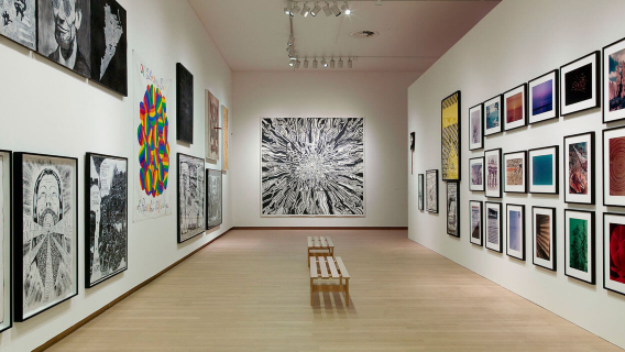 City Museum + NDSM + Allard Pierson Museum of Antiquities + Canals of Amsterdam