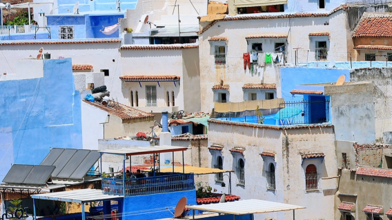 摩洛哥境內/中文導遊/地陪導遊/展會翻譯/商務翻譯/溝通無障礙