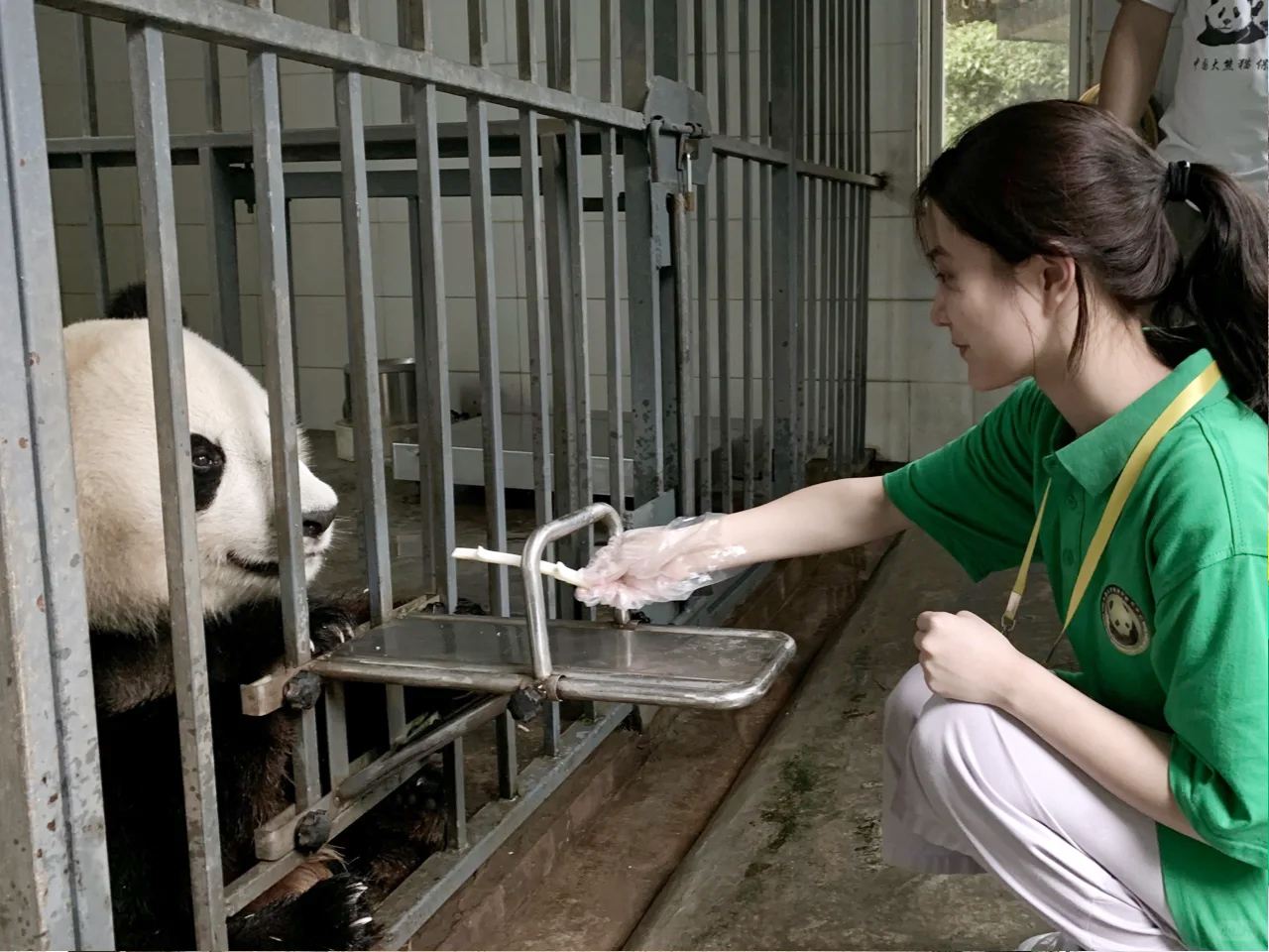 熊貓義工親子一日遊 【製作窩窩頭·體驗鏟屎官日常·基地可選】