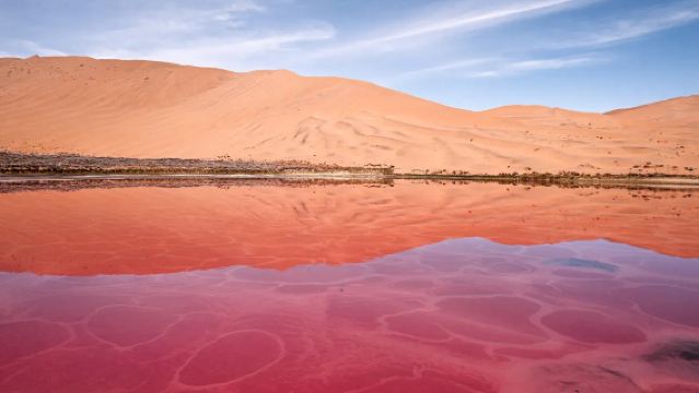 Lawatan Sehari Pakej Berkumpulan ke Cancun: Tasik Pink Laguna Colorada + Cenote Hubiku Pergi-Balik