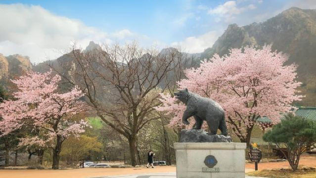 Seul: Monte Seorak, Nami Island, Niente Shopping (+Opzione RailBike)