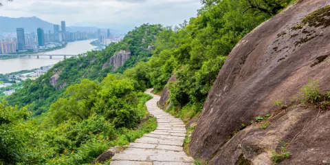 福州全境翻譯/導遊/地陪 | 展會翻譯/商務翻譯/景點講解 | 景點遊玩 | 英文/俄語/小語種 | 歡迎查詢