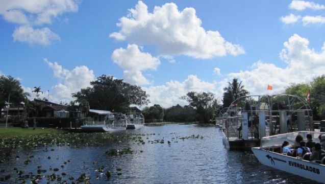 Lawatan Sehari ke Miami + Taman Negara Everglades di Amerika [Sewaan Peribadi dengan Pemandu Berbahasa Cina]