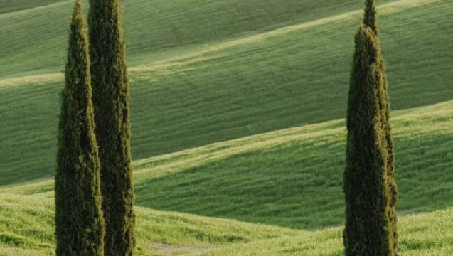 義大利托斯卡納一日遊奧爾恰穀錫耶納皮恩扎丨佛羅倫斯來回