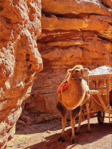 1-day tour to Pingshan Lake Grand Canyon and Zhangye colorful