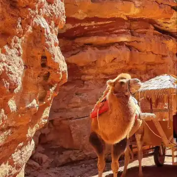 1-day tour to Pingshan Lake Grand Canyon and Zhangye colorful