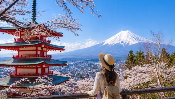 Offerta a tempo limitato | Tour di un giorno con panorami mozzafiato del Monte Fuji: Lago Kawaguchi + Oishi Park + Parco Asama di Arakura
