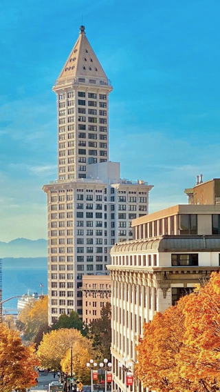 Smith tower + Seattle aquarium + China gate + Amazon headquarters (World cup classic city tour)