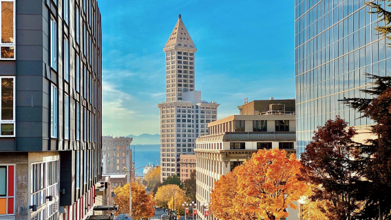 Smith tower + Seattle aquarium + China gate + Amazon headquarters (World cup classic city tour)