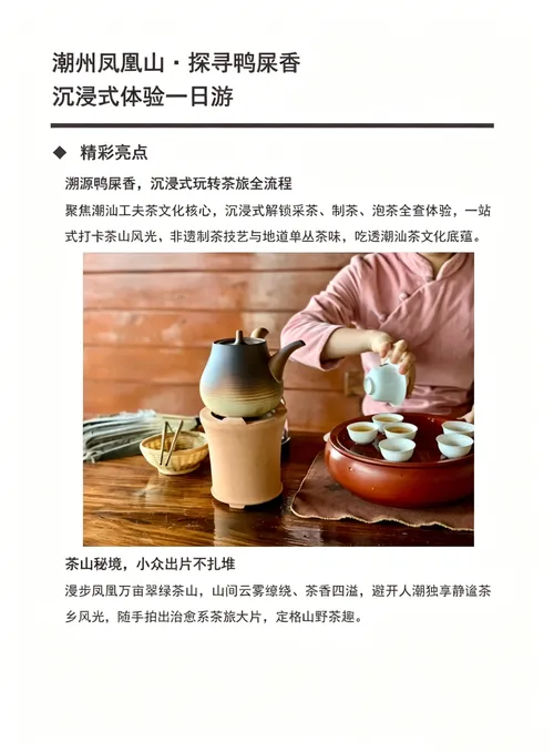 プライベートツアー丨潮汕鳳凰単叢茶山ワンデーツアー/茶摘みとお茶の