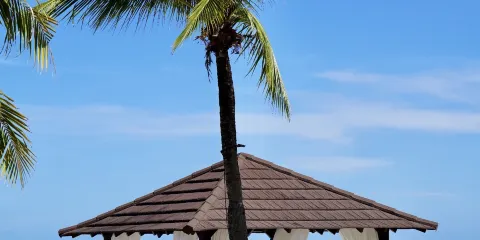 馬來西亞全境-蘭卡威-沙巴【海島遊/親子度假/景點訂製中文包車】多種語言-旅行/購物/地陪/導遊/翻譯/講解