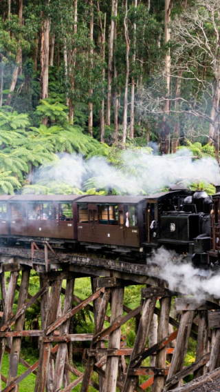 メルボルン パッフィンビリー鉄道／フィリップ島ペンギン・パレード ワンデーツアー｜オプションで動物園