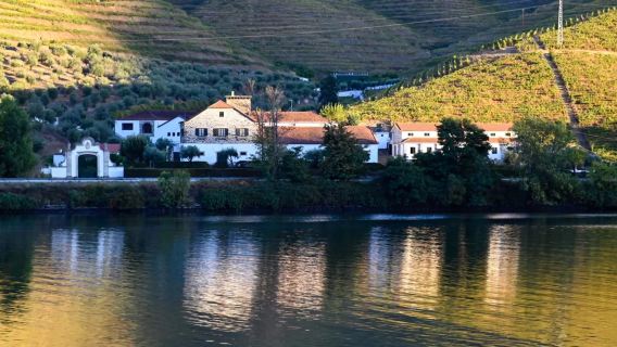 Portugal Porto - Lembah Douro - Pinhão - Lawatan Sehari Sewaan Peribadi (Tiket Masuk Tidak Termasuk) - Pilihan Percuma
